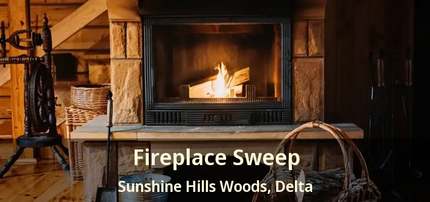 Fireplace Sweep Sunshine Hills Woods, Delta - BC