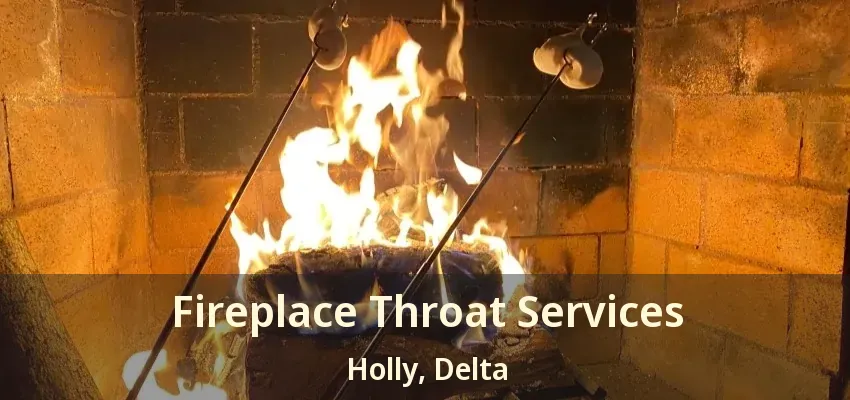 Fireplace Throat Services Holly, Delta - BC