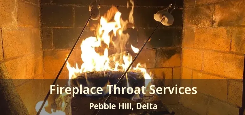 Fireplace Throat Services Pebble Hill, Delta - BC