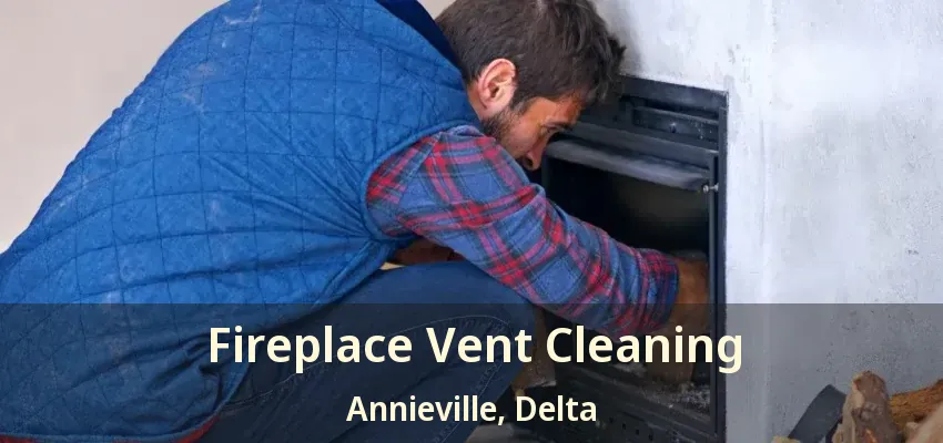 Fireplace Vent Cleaning Annieville, Delta - BC