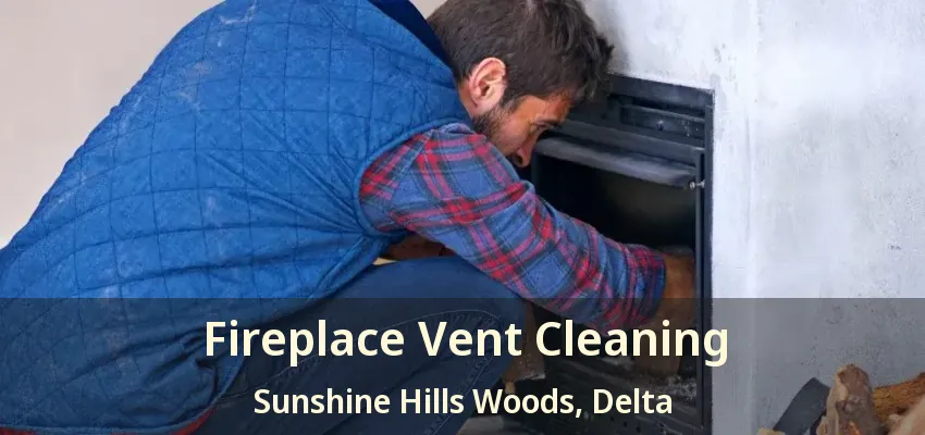 Fireplace Vent Cleaning Sunshine Hills Woods, Delta - BC