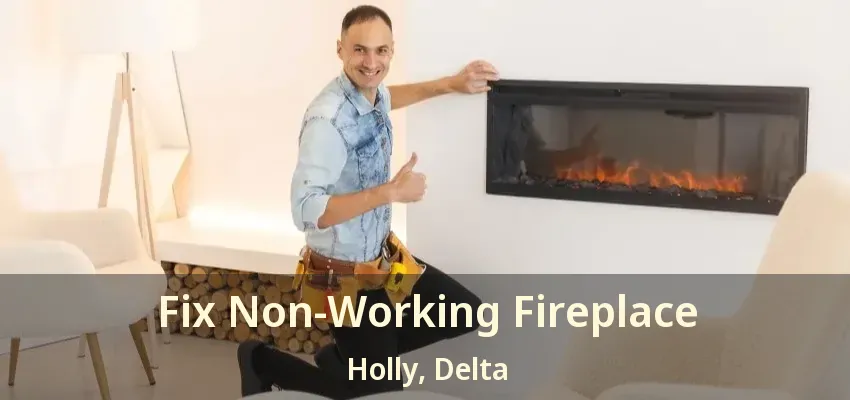 Fix Non-Working Fireplace Holly, Delta - BC