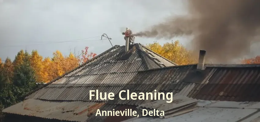 Flue Cleaning Annieville, Delta - BC