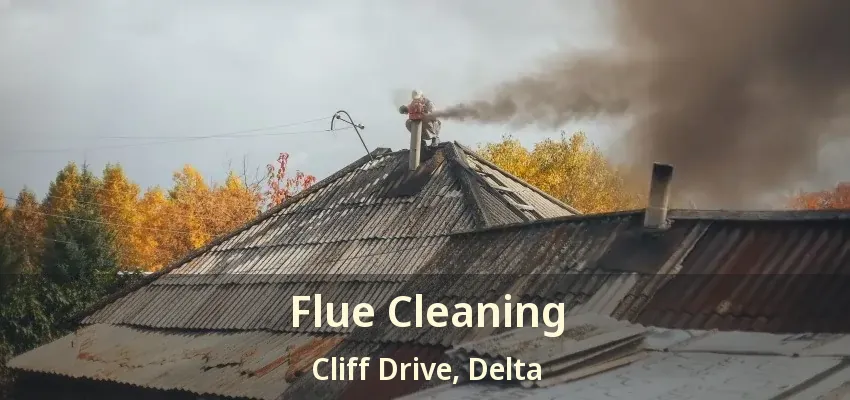 Flue Cleaning Cliff Drive, Delta - BC