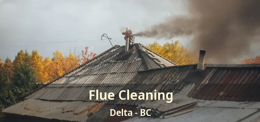 Flue Cleaning Delta - BC