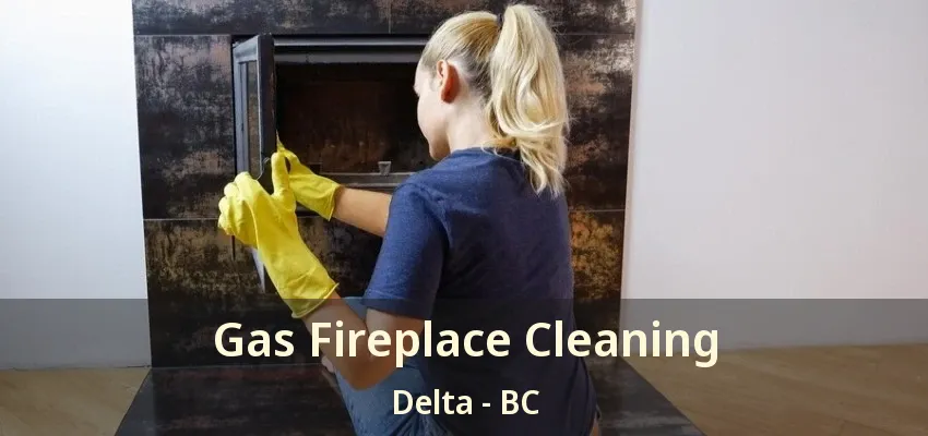 Gas Fireplace Cleaning Delta - BC