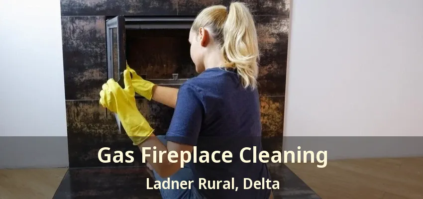 Gas Fireplace Cleaning Ladner Rural, Delta - BC