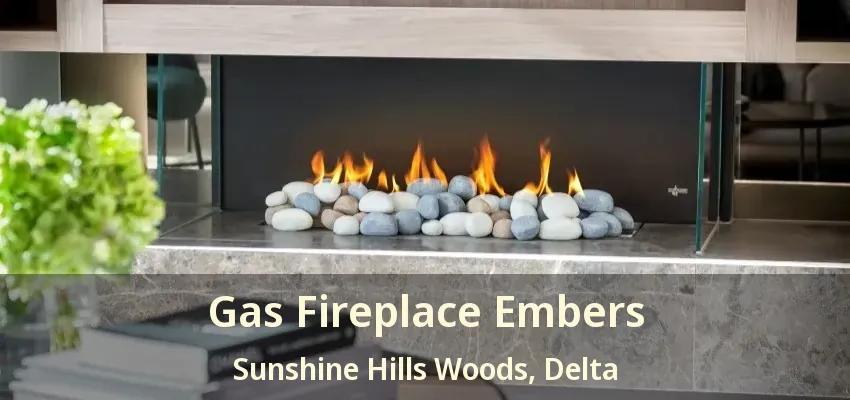 Gas Fireplace Embers Sunshine Hills Woods, Delta - BC