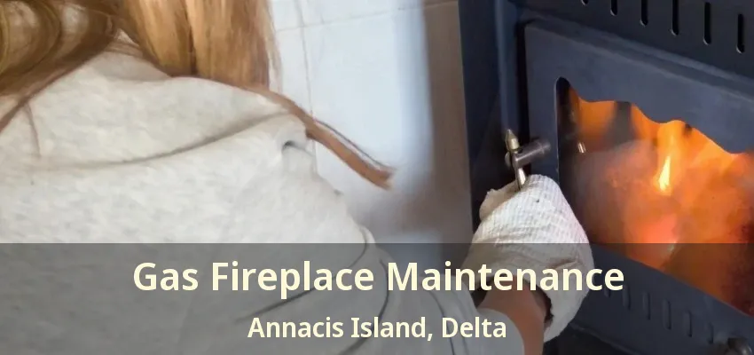 Gas Fireplace Maintenance Annacis Island, Delta - BC
