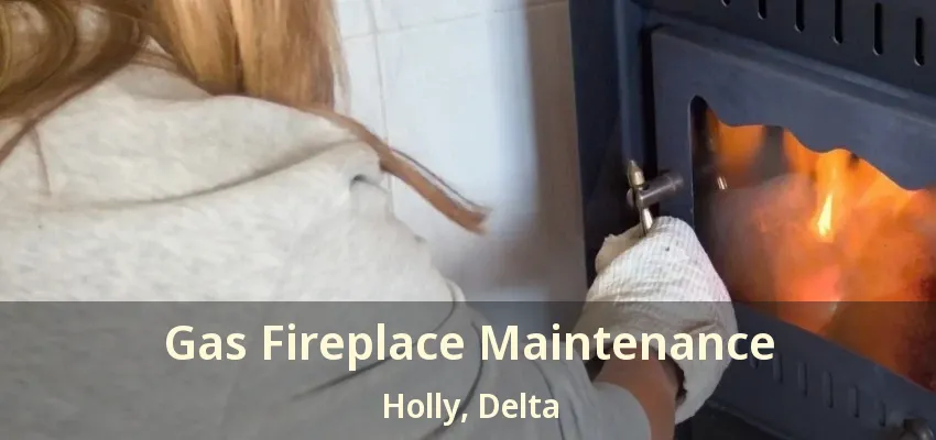 Gas Fireplace Maintenance Holly, Delta - BC