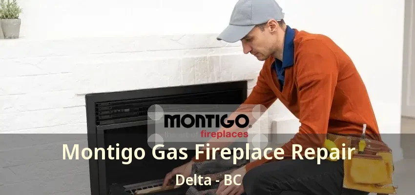 Montigo Gas Fireplace Repair Delta - BC