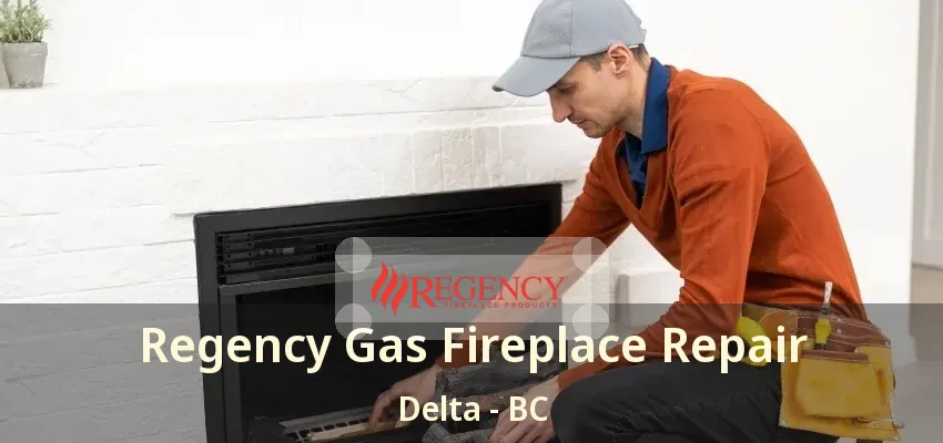 Regency Gas Fireplace Repair Delta - BC