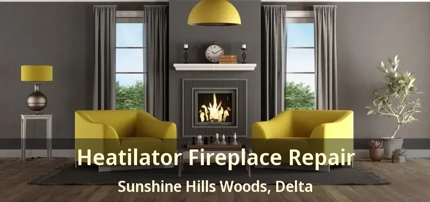 Heatilator Fireplace Repair Sunshine Hills Woods, Delta - BC