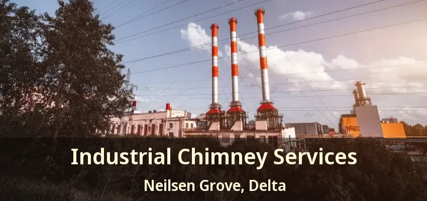 Industrial Chimney Services Neilsen Grove, Delta - BC