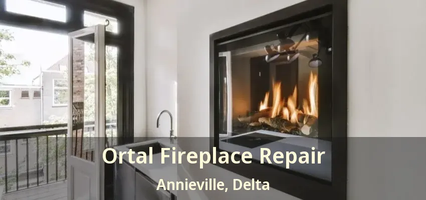 Ortal Fireplace Repair Annieville, Delta - BC