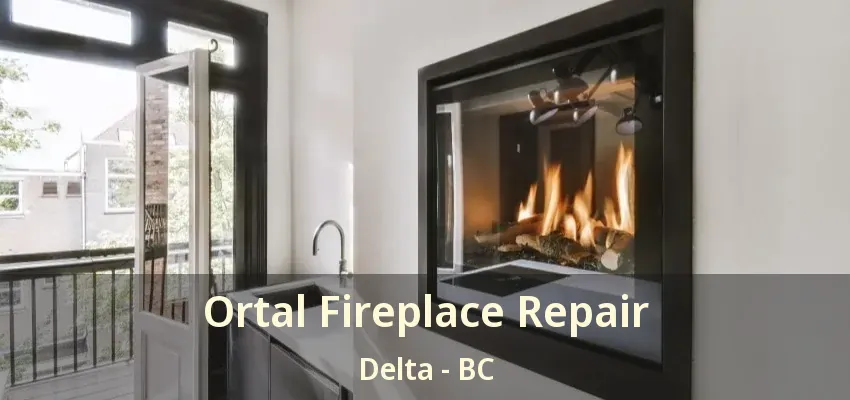 Ortal Fireplace Repair Delta - BC