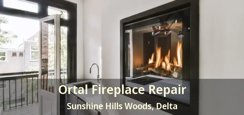 Ortal Fireplace Repair Sunshine Hills Woods, Delta - BC