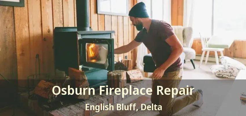 Osburn Fireplace Repair English Bluff, Delta - BC