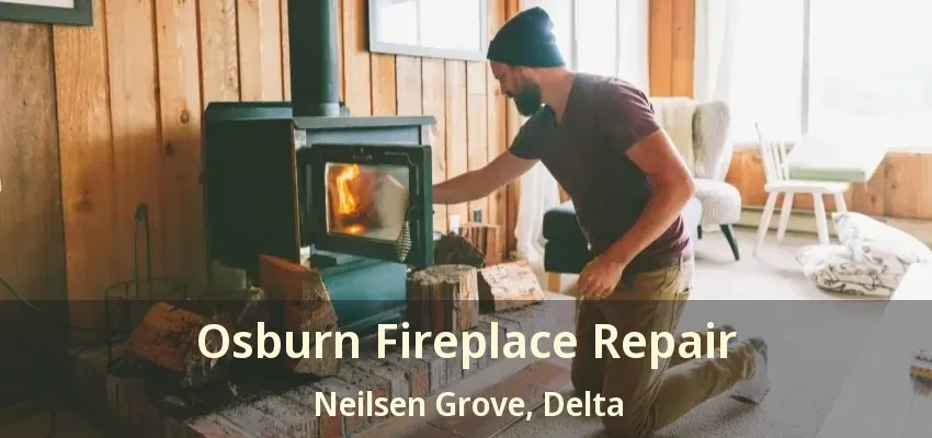 Osburn Fireplace Repair Neilsen Grove, Delta - BC