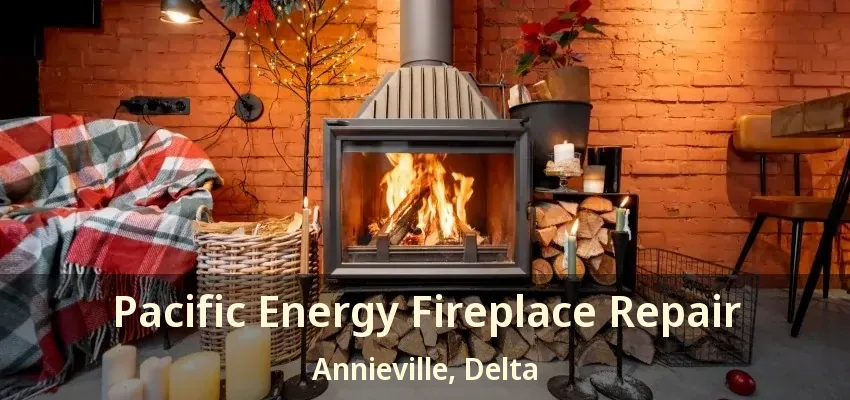 Pacific Energy Fireplace Repair Annieville, Delta - BC