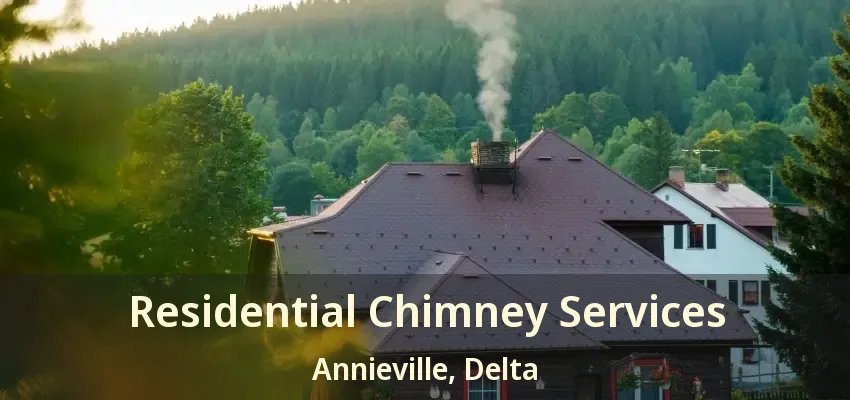 Residential Chimney Services Annieville, Delta - BC