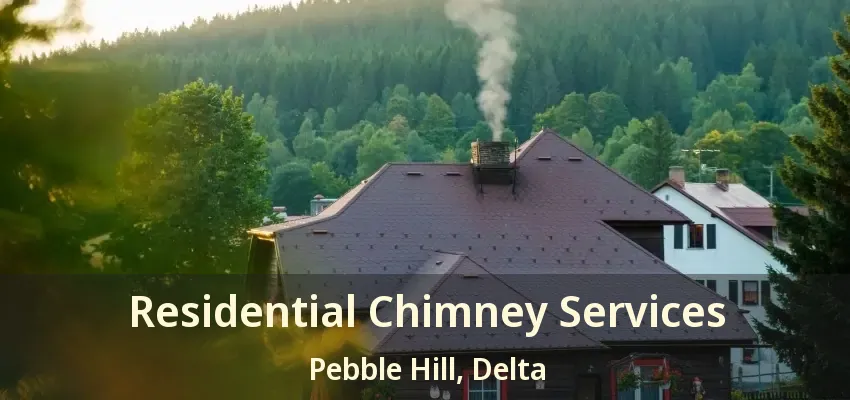 Residential Chimney Services Pebble Hill, Delta - BC