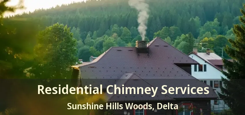 Residential Chimney Services Sunshine Hills Woods, Delta - BC