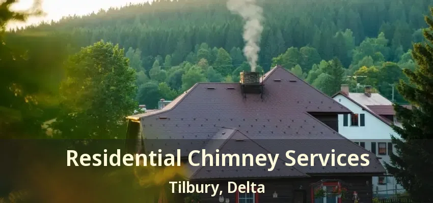 Residential Chimney Services Tilbury, Delta - BC