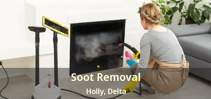 Soot Removal Holly, Delta - BC