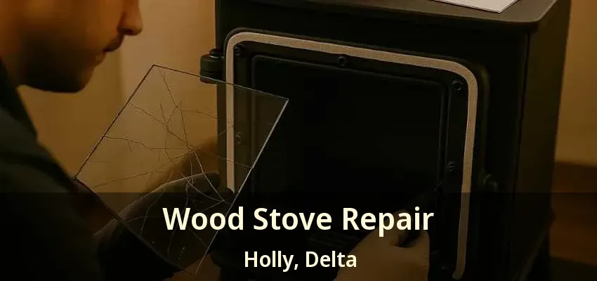 Wood Stove Repair Holly, Delta - BC