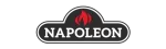 Napoleon Enviro Fireplace Repair in Delta