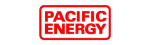 Pacific Energy Enviro Fireplace Repair in Delta